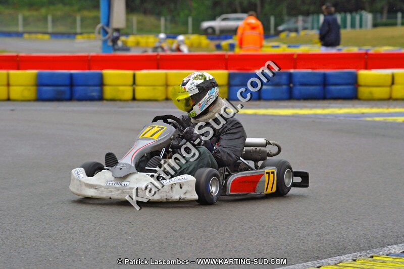 DSC_ (1053).jpg